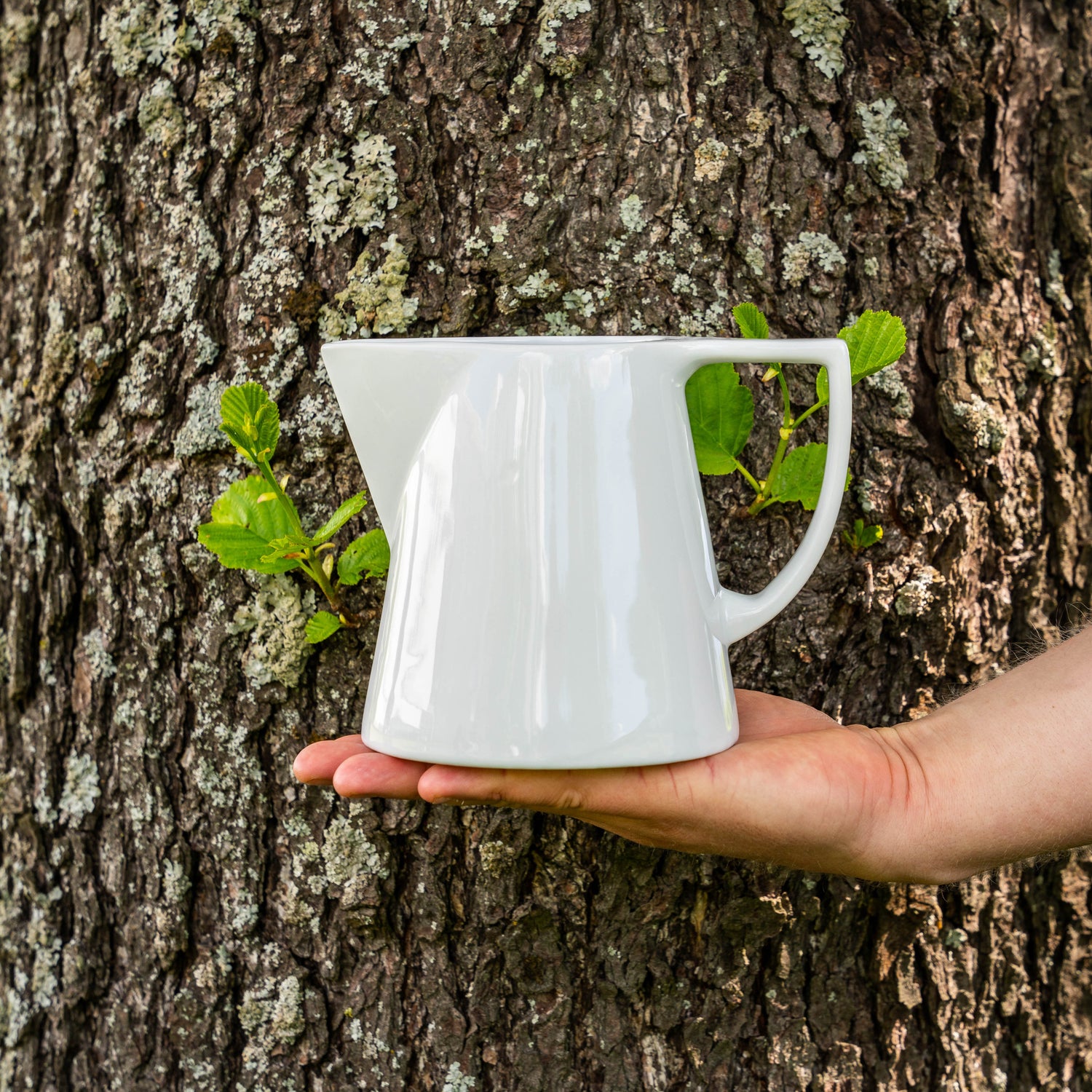 B1100 -sokerikko 10 cl ja kaadin 90 cl