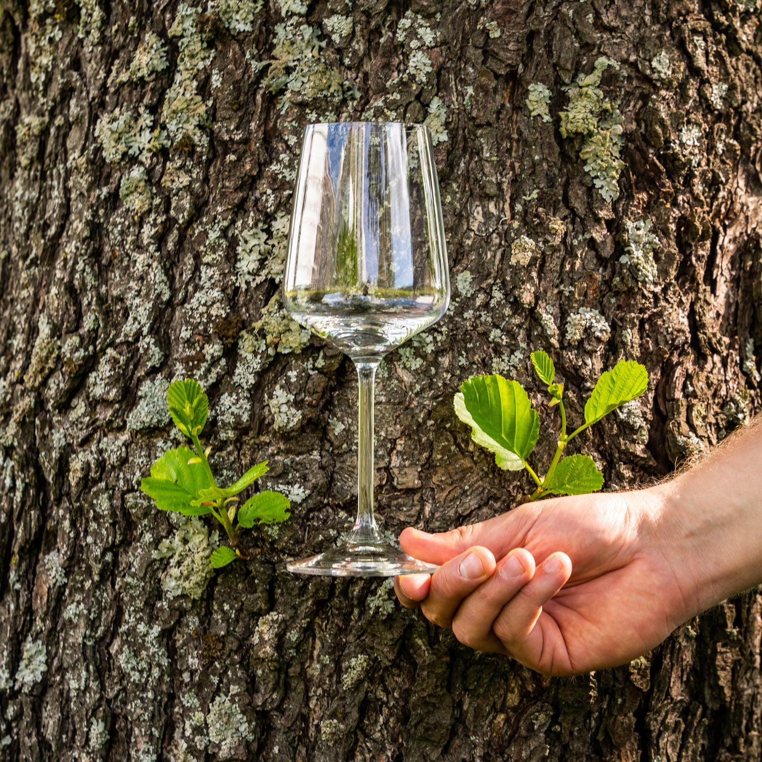 Style-viinilasi 44 cl - tyylikäs valkoviinilasi aromien esiin tuomiseen