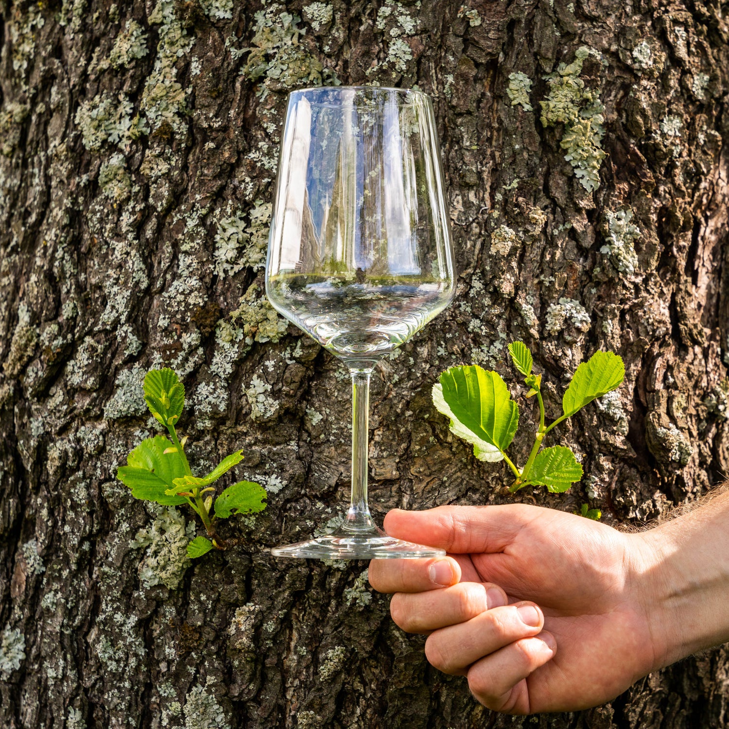 Style-viinilasi 64 cl - tilava punaviinilasi aromien kehittymiseen