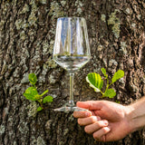 Style-viinilasi 64 cl - tilava punaviinilasi aromien kehittymiseen